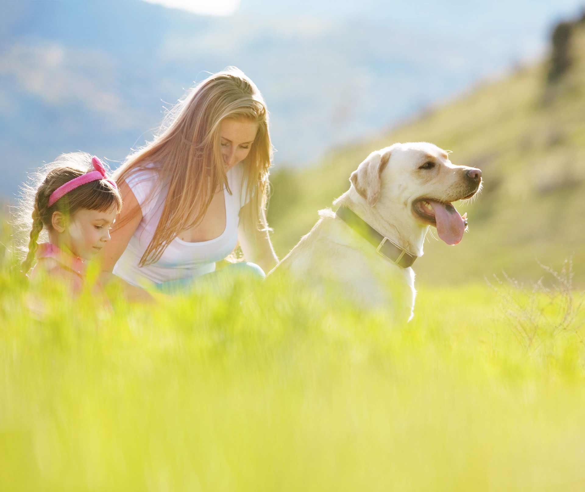 The 4 Best Dog Friendly Holiday Parks this 2023