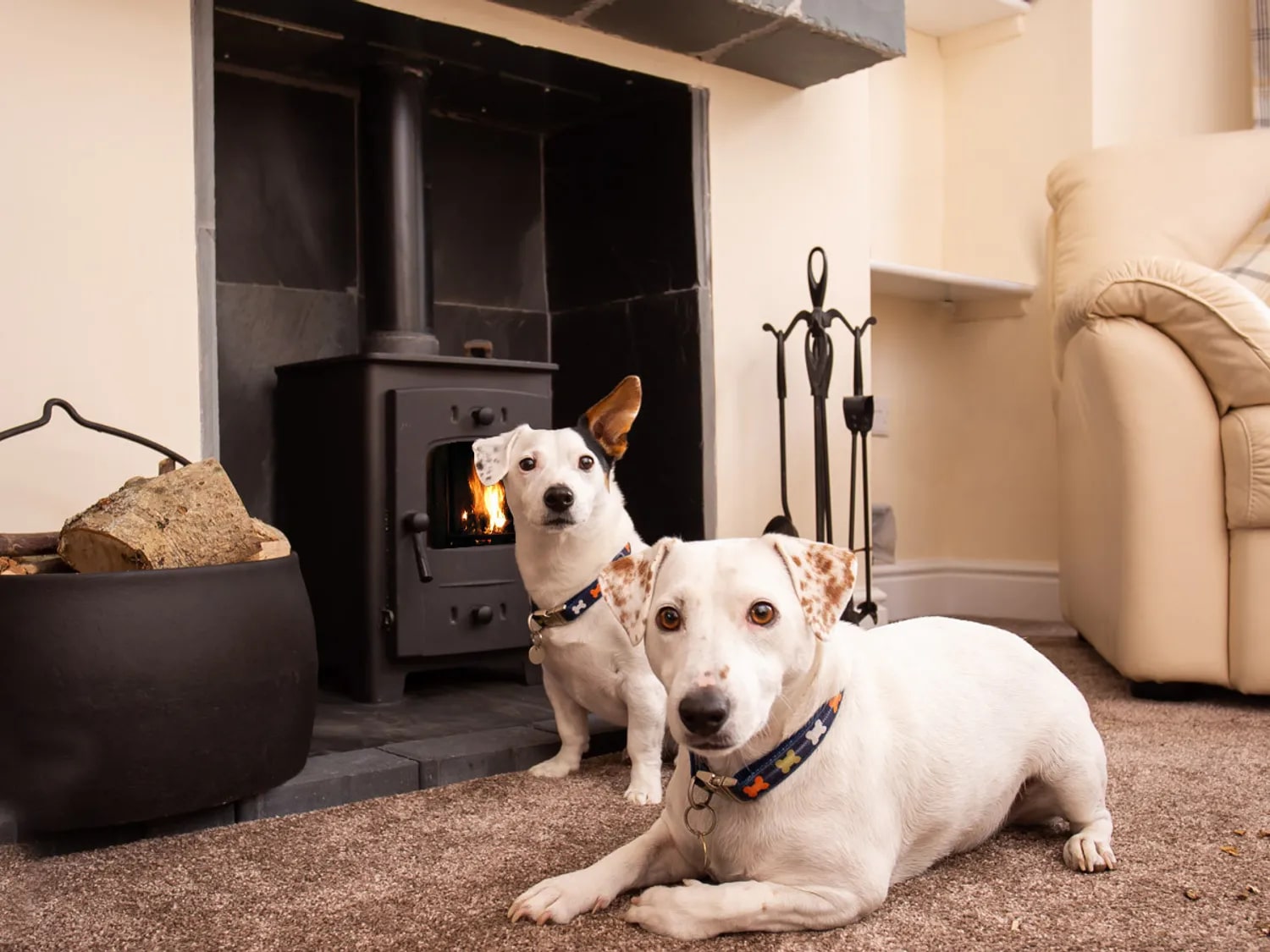 The Best Dog Friendly Cottages in Keswick